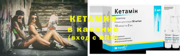 крисы Няндома