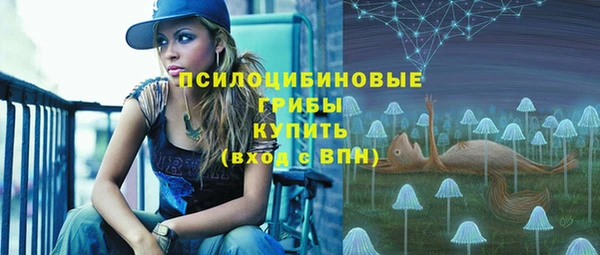 МДПВ Нягань