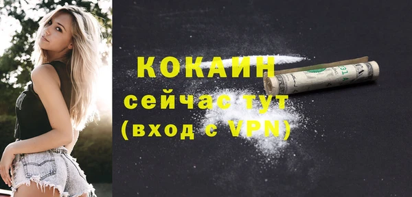 mix Пересвет