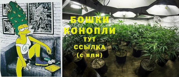 крисы Няндома