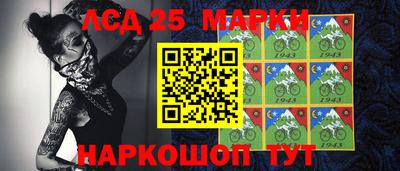 гидропоника Пенза