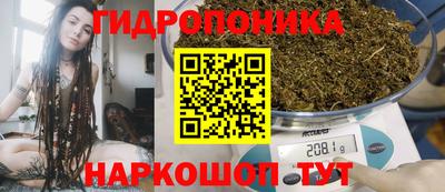 гидра Партизанск