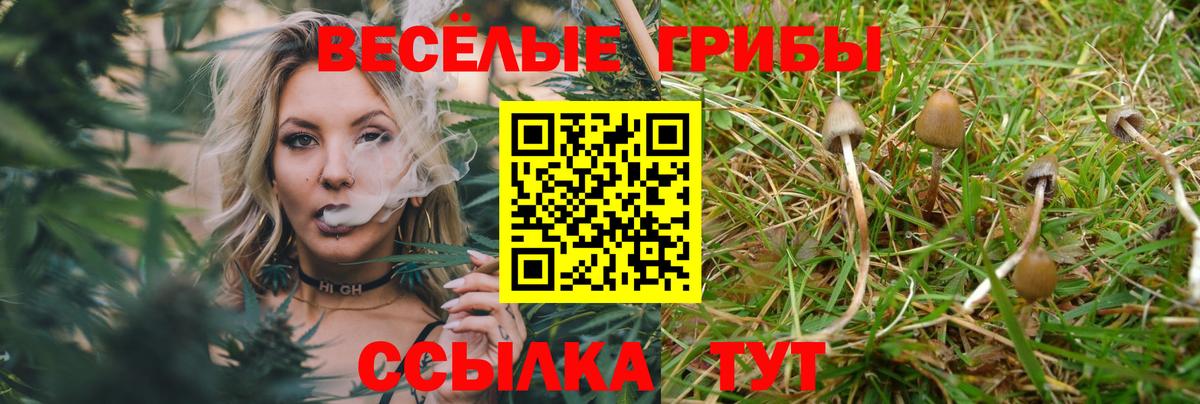 Курск  Псилоцибиновые грибы Psilocybine cubensis  Вход с VPN 