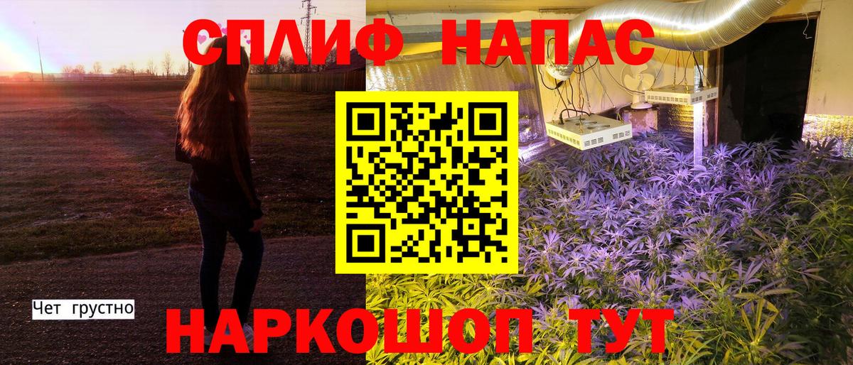 Курск  Бошки марихуана планчик  Конопля Bruce Banner  МАРИХУАНА планчик  Вход с VPN 